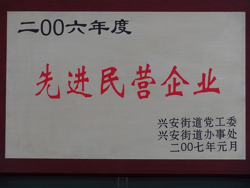 2006年度先进民营企业